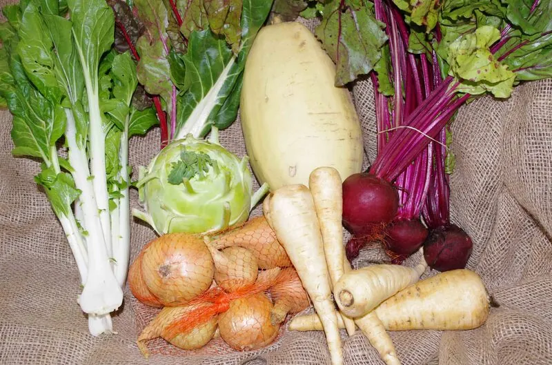 Légumes de la ferme sur une toile de jute : bettes, chou-rave, courge spaghetti, betteraves, oignons et panais
